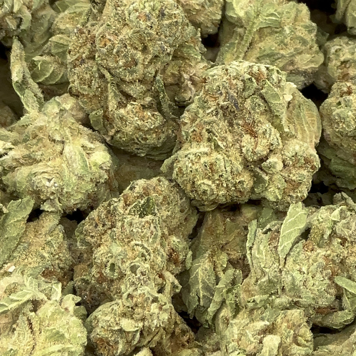 Orange Sunshine BULK THCA Flower