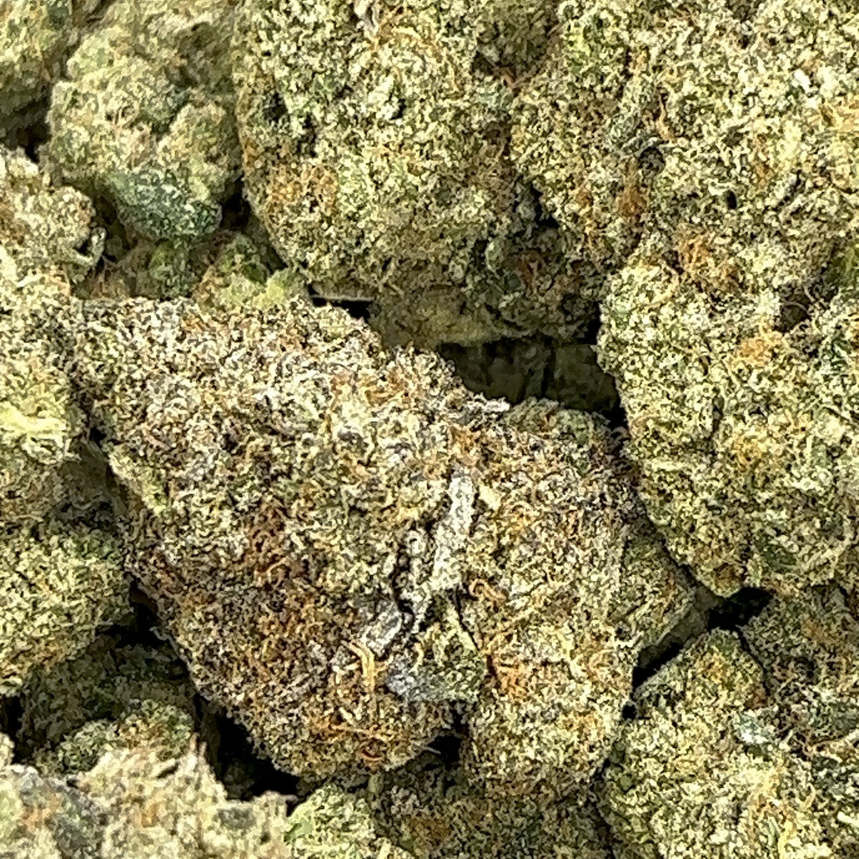 Wedding Cake BULK THCA Flower