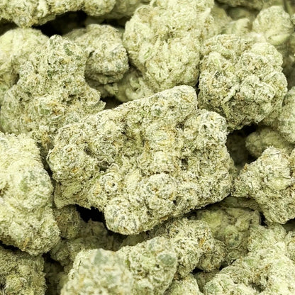 Cheetah Piss THCA Flower