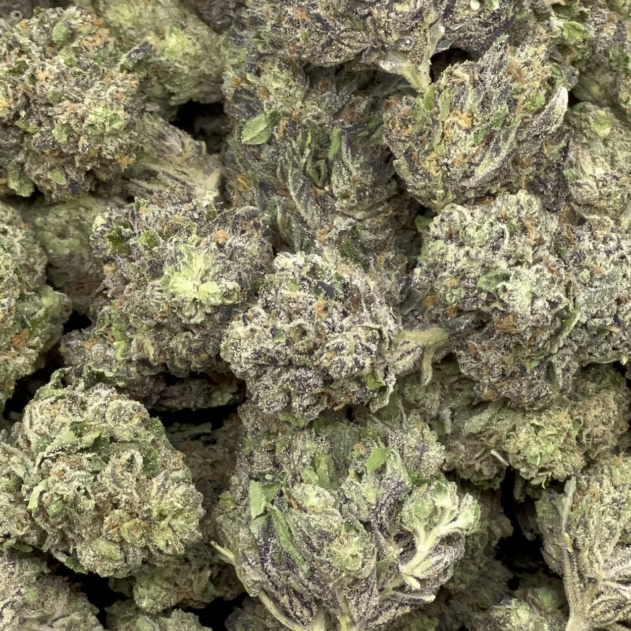 Double Runtz THCA Flower