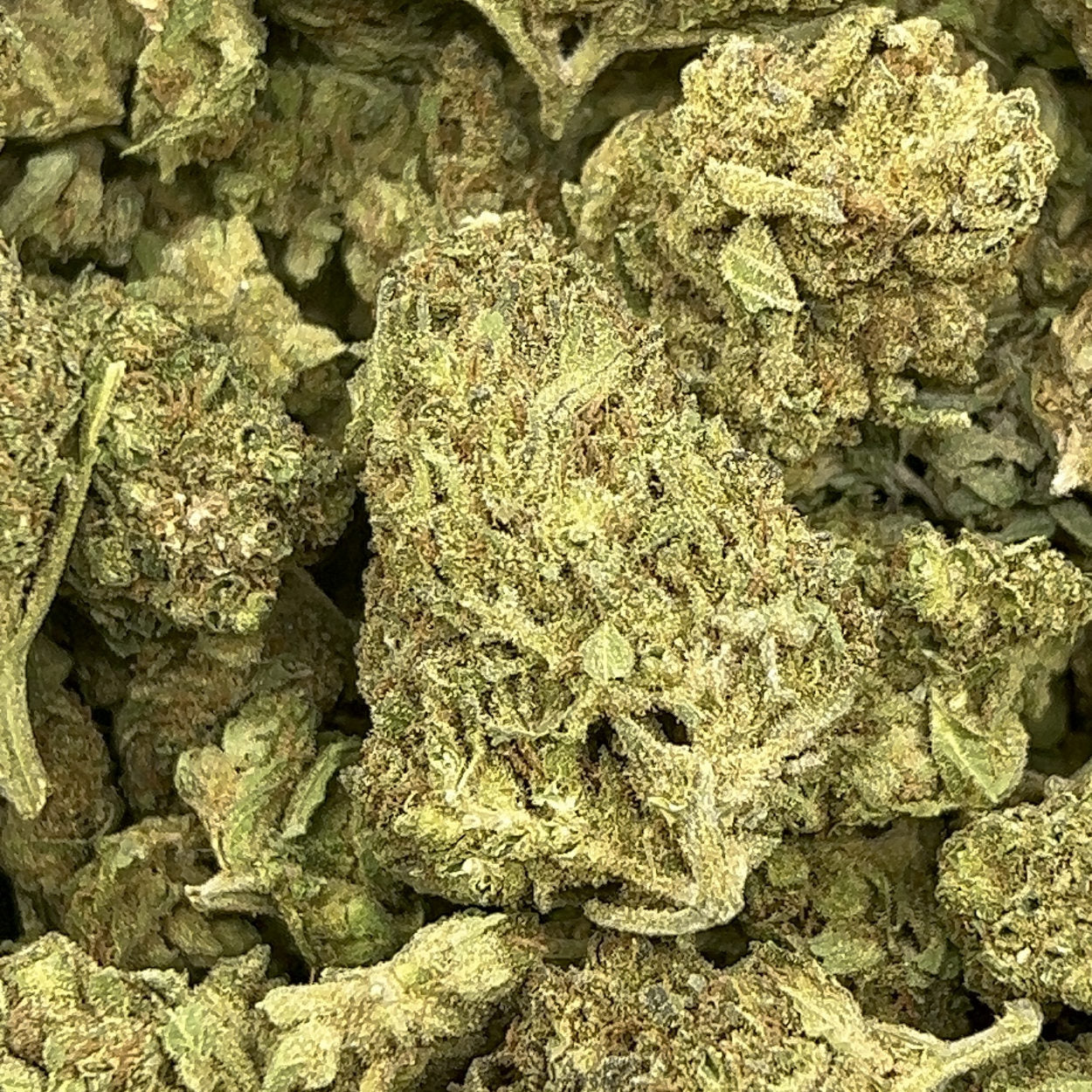Durban Poison
BULK THCA Flower