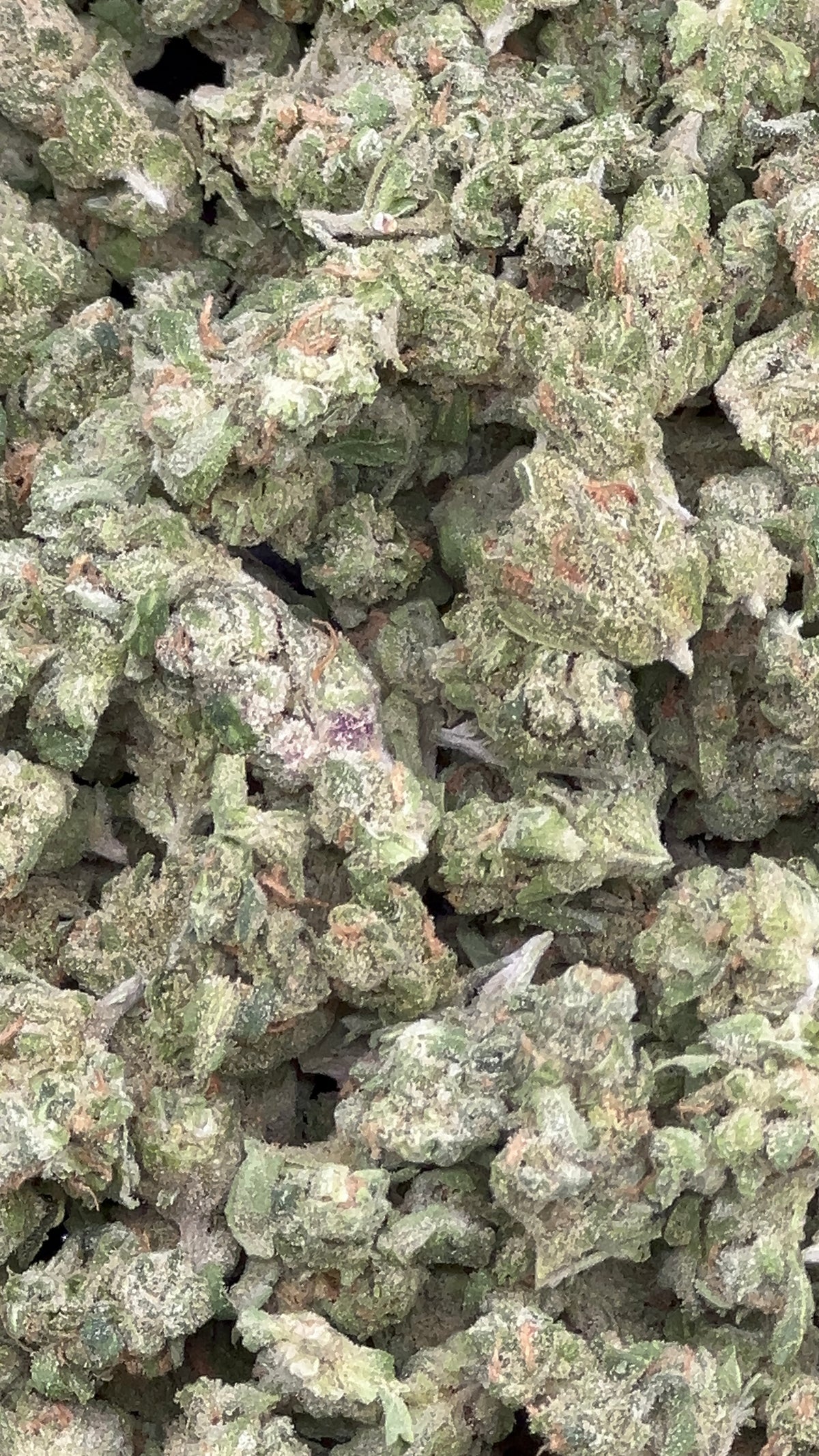 Blue Dream Smalls THCA Flower