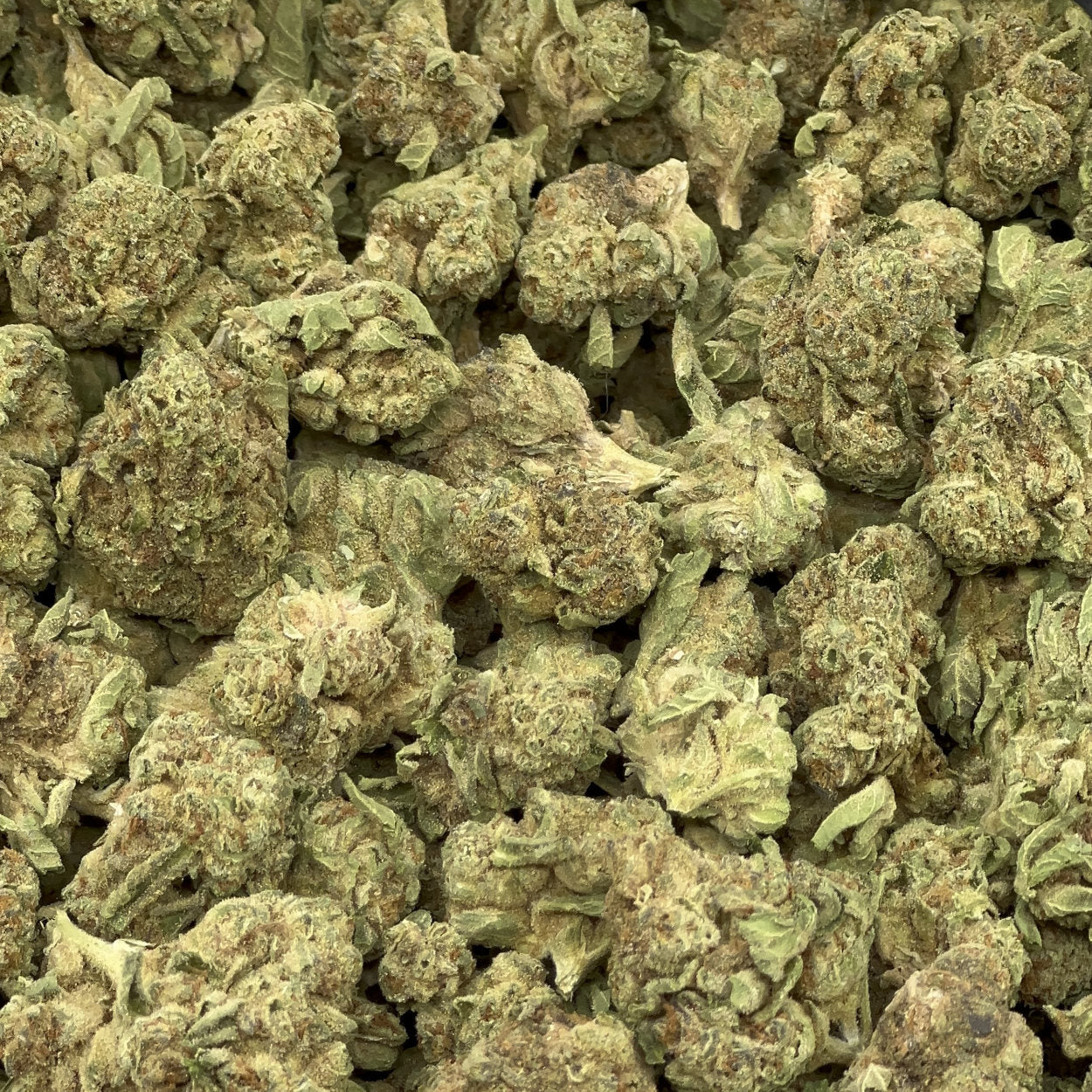 Orange Sunshine BULK THCA Flower