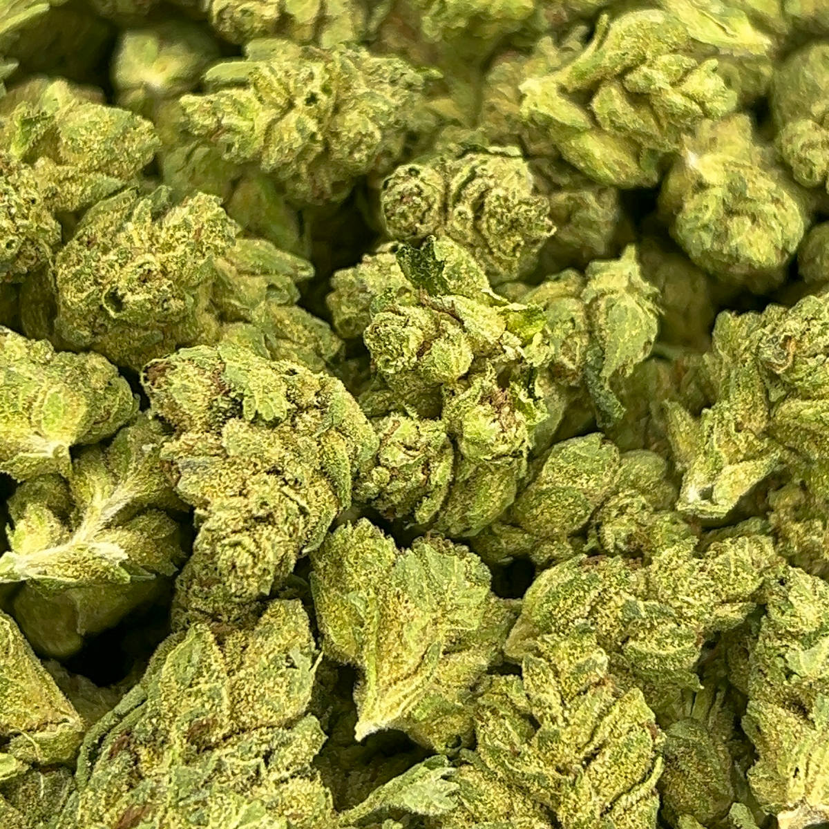 Wedding Cake Smalls THCA Flower