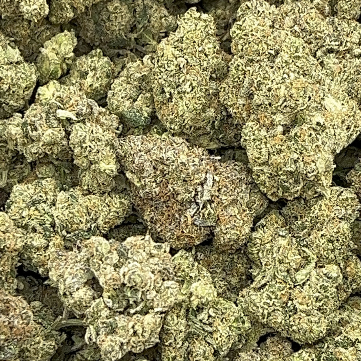 Wedding Cake BULK THCA Flower