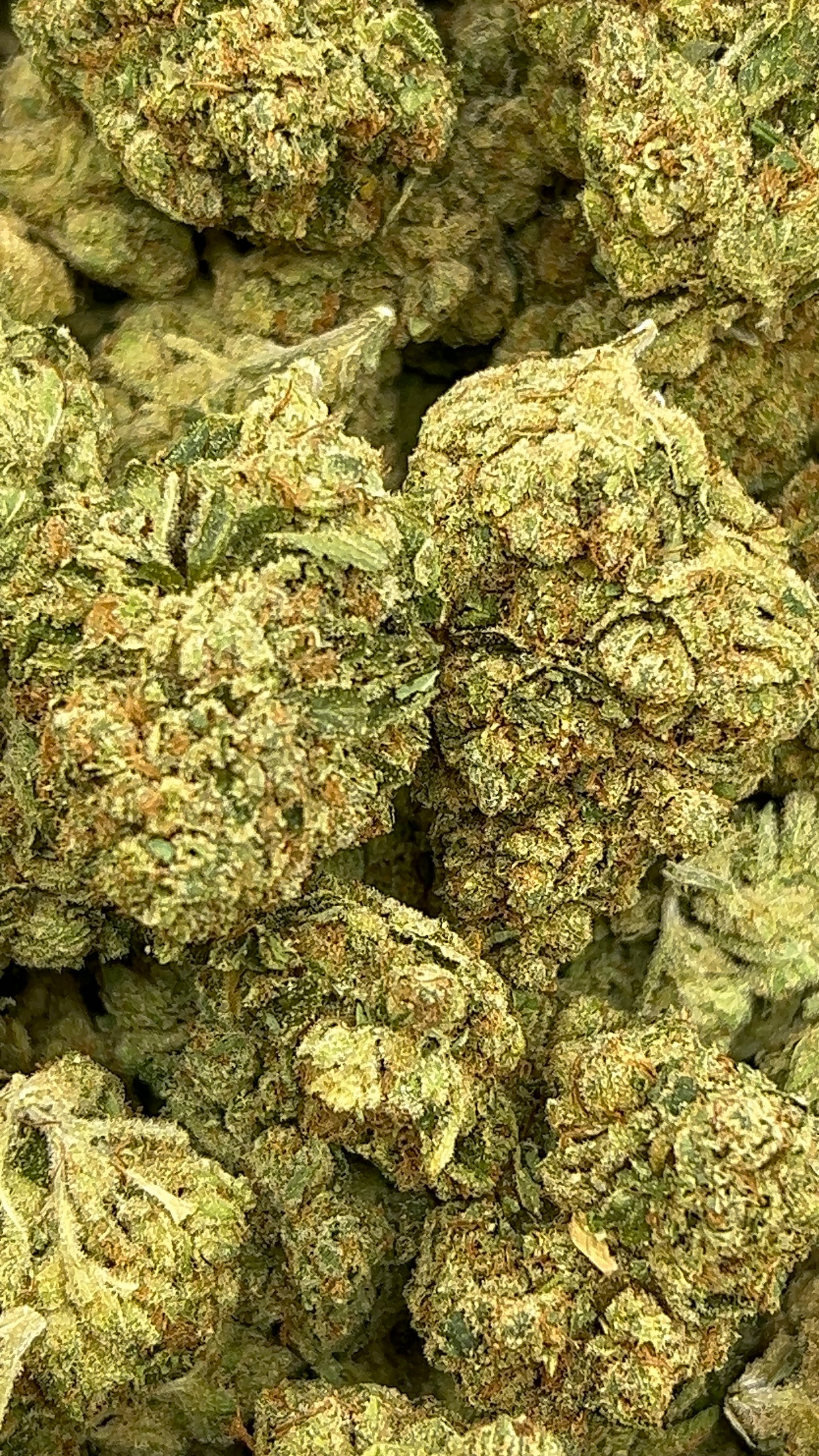 SFV OG THCA Flower